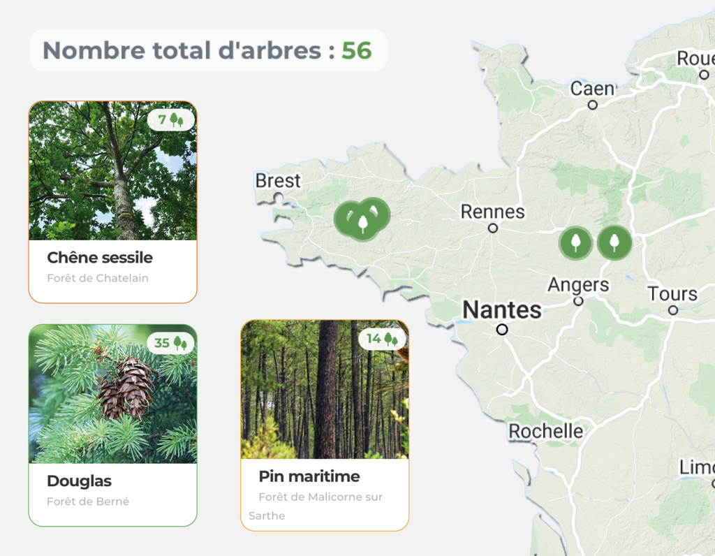 Blog post Ecotree - Nos arbres